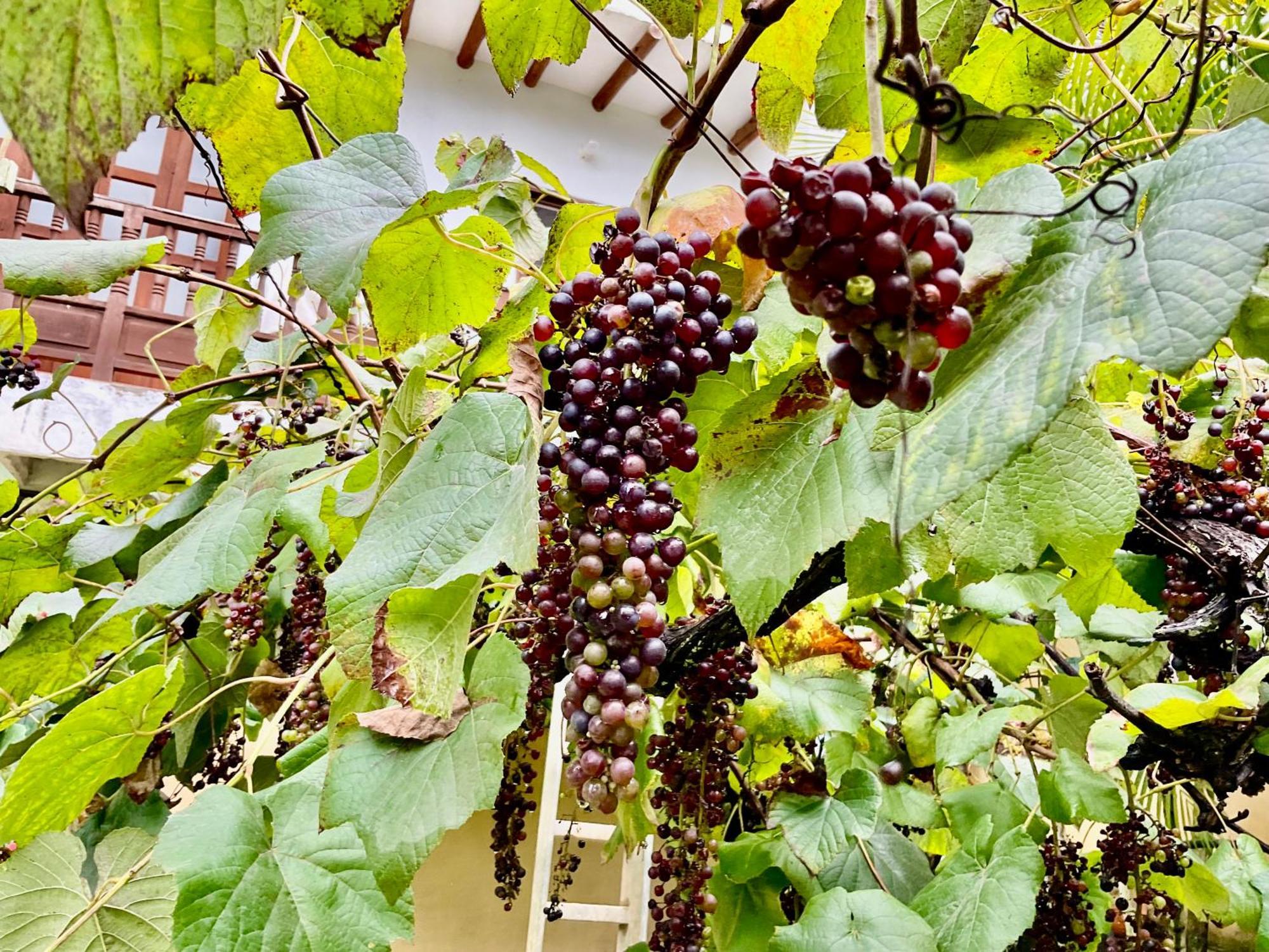 Casona El Retiro Barichara Διαμέρισμα Εξωτερικό φωτογραφία